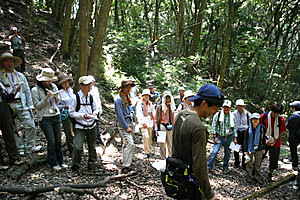 里山の自然観察に