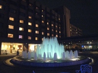 鹿児島の夜はホテルのイルミネーションd(・∀＜）
