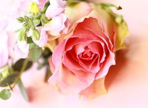 心も体もお財布も元気の出るセミナー