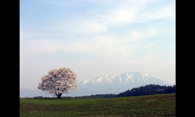 春はもうすぐそこに・・・。