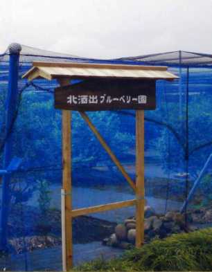 北酒出ブルーベリー園