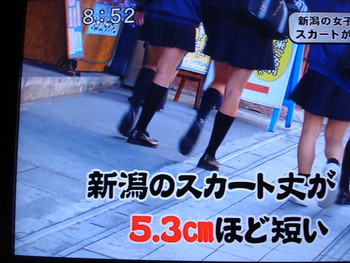 新潟の女子高生は、日本一スカートが短い？
