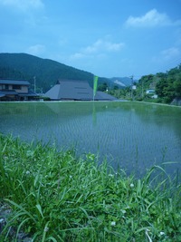 橋の横に・・・