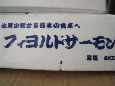 ノルウェーフィヨルドサーモン