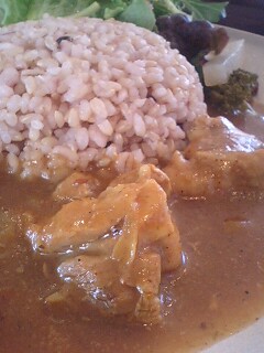 ☆Bijaレポート