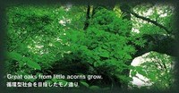 ショップ建築計画