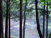 見ぃつけた。