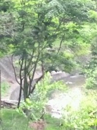 見ぃつけた。