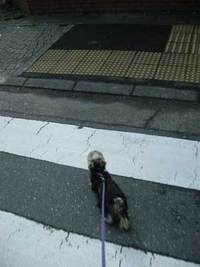 ◆小さなしあわせ