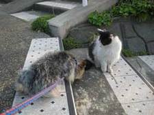 ◆遭遇