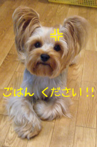 ◆ぐったり・・・