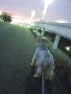 ◆冷たい夕暮れ