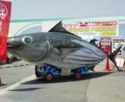 御前崎へ