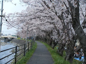 ◆3月