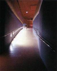 ■パリ★ケ・ブランリー美術館-4