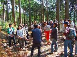 森林見学会