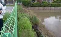 雨の中、作業しました