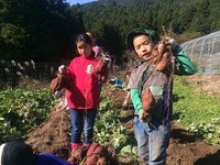 ≪中山間交流・活動報告≫龍山町で農作業体験！お芋の収穫を皆で楽しみました♪