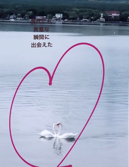 【白鳥の湖】 【白鳥の湖】