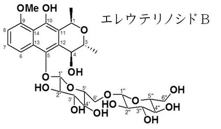 薬物有害反応