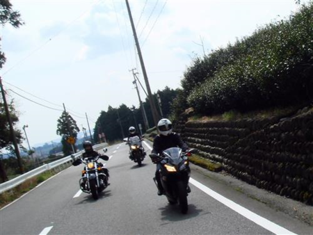 桜はオアズケだったけど新しい出会いがいっぱい!! 春の川根路まんぷくツーリング♪ 桜はオアズケだったけど新しい出会いがいっぱい!! 春の川根路まんぷくツーリング♪
