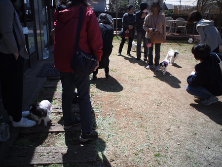 ワンコと行くバスツアー「わんバス」① 静岡市ドックカフェ クーさんでランチ♪ ワンコと行くバスツアー「わんバス」① 静岡市ドックカフェ クーさんでランチ♪