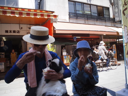 よかばい熊本!ユウ君、水前寺成趣園へ行く♪ よかばい熊本!ユウ君、水前寺成趣園へ行く♪