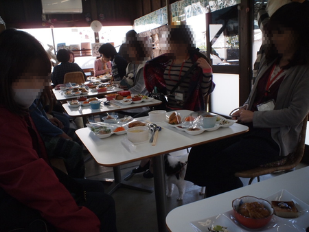 ワンコと行くバスツアー「わんバス」① 静岡市ドックカフェ クーさんでランチ♪ ワンコと行くバスツアー「わんバス」① 静岡市ドックカフェ クーさんでランチ♪