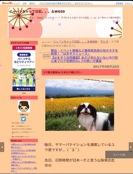 Hamazoさんがテンプレートをリニューアルするようです♪ Hamazoさんがテンプレートをリニューアルするようです♪