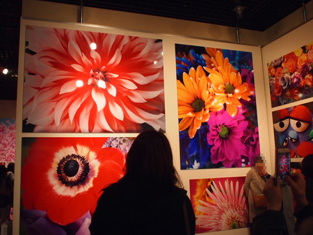 心が萌えた♪ 最終日の蜷川実花展へ 静岡県立美術館 心が萌えた♪ 最終日の蜷川実花展へ 静岡県立美術館