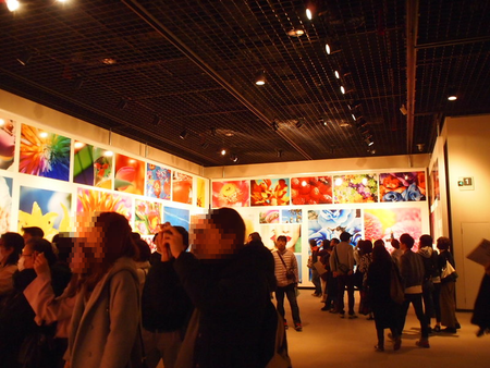心が萌えた♪ 最終日の蜷川実花展へ 静岡県立美術館 心が萌えた♪ 最終日の蜷川実花展へ 静岡県立美術館
