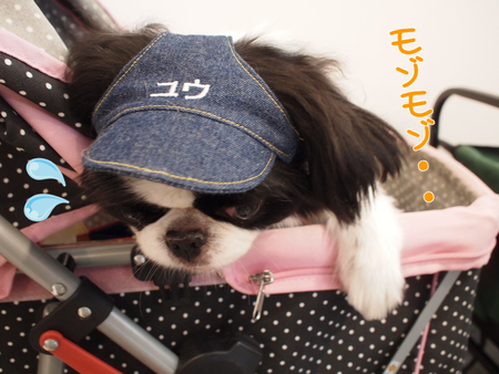 メチャ暑っ!!(笑) 袋井ふれあいフェスティバル2017☆サマー メチャ暑っ!!(笑) 袋井ふれあいフェスティバル2017☆サマー