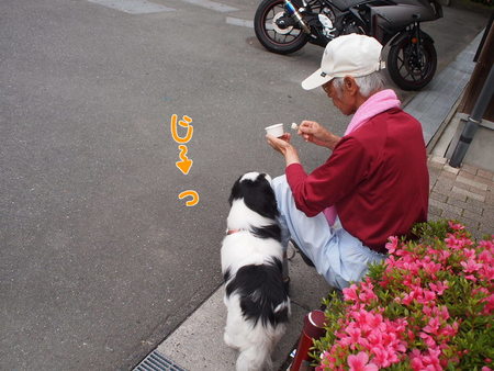 ユウ君、ダムに行く。おじいちゃんと初めてのドライブ♪ ユウ君、ダムに行く。おじいちゃんと初めてのドライブ♪