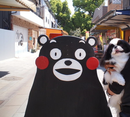 よかばい熊本!ユウ君、水前寺成趣園へ行く♪ よかばい熊本!ユウ君、水前寺成趣園へ行く♪