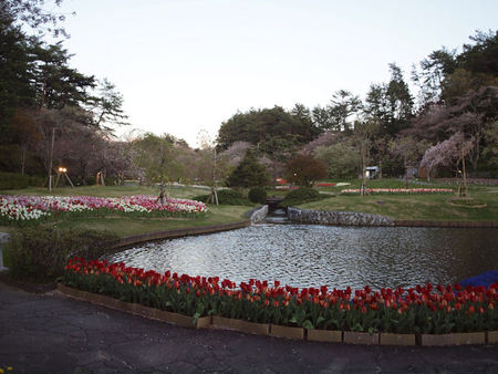 世界一のお花見 世界一のお花見