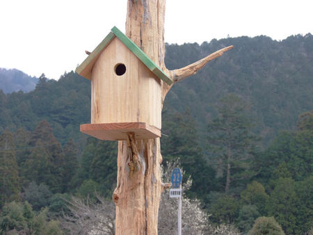 木のふれあいひろば ⑫ 木のふれあいひろば ⑫