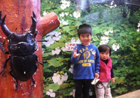子供2人を連れて磐田市竜洋昆虫自然観察公園へ！