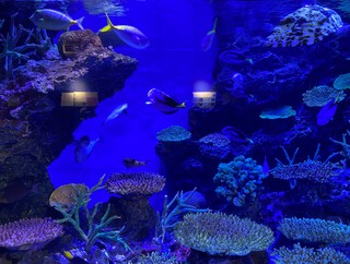 久しぶりの蒲郡・竹島♪ 久しぶりの蒲郡・竹島♪