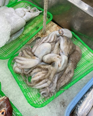 久しぶりの蒲郡・竹島♪ 久しぶりの蒲郡・竹島♪