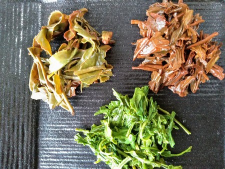 こっそり知っておきたい！緑茶・烏龍茶・紅茶の違い(*^-^*)