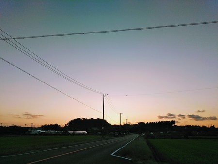 ”黄昏どき”の田園風景(*^-^*)　田んぼアートの稲がすくすく生長しています！