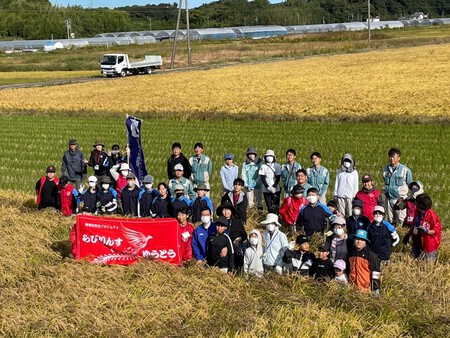 ゆうとう田んぼアート「稲刈り」楽しく開催しました(*^-^*)