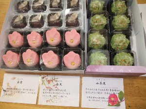 お茶子のどこでも出張「なごみ茶屋」、行って参りました！！
