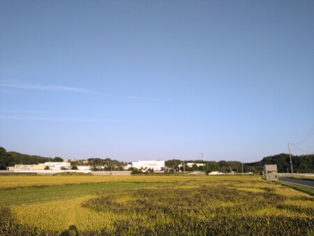 締め切りは、明日10/17です！