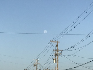 自分へご褒美♡ 自分へご褒美♡
