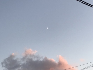 秋ですね 秋ですね