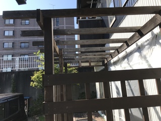 キレイになりました キレイになりました