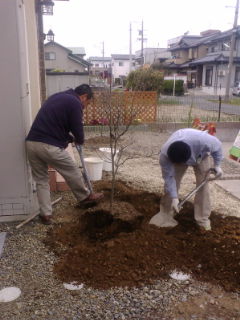 今日から…