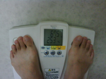ダイエット生活17日目…