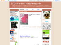 12/4「はまぞう大忘年会」&ブロガーオブザイヤー発表!